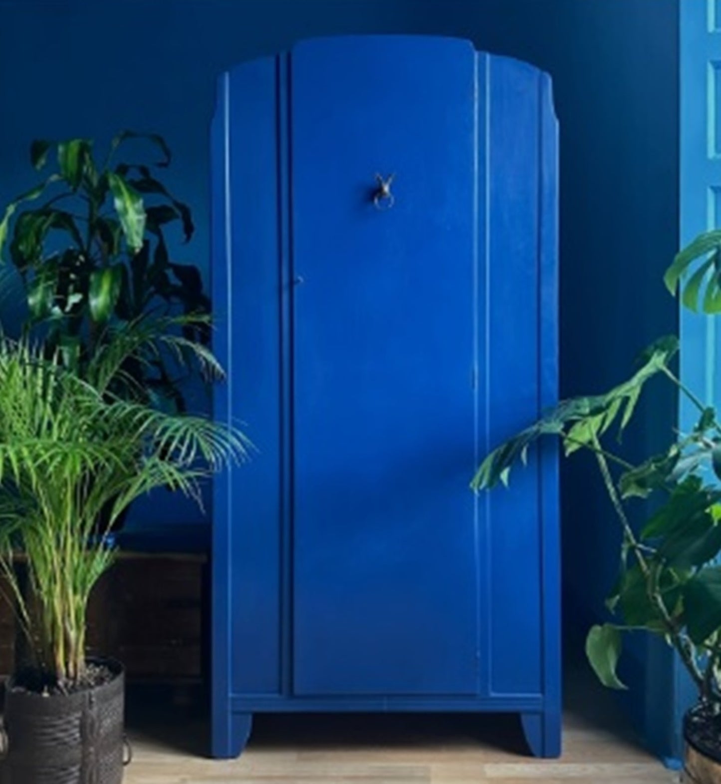 Color Azul Celeste/Alaska